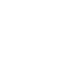 SETECIA